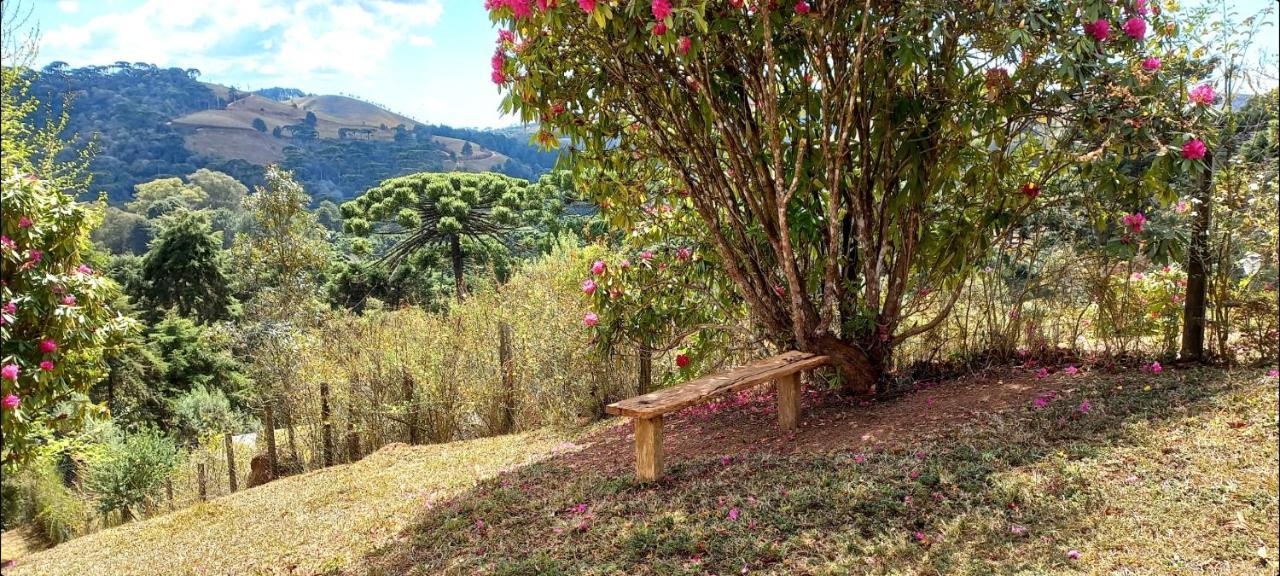 Casa Trilha Βίλα Campos do Jordão Εξωτερικό φωτογραφία